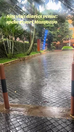 Plan Your Dream Wedding with Luxe Events & Decor