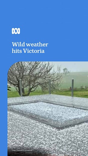Did you cop yesterday's thunderstorms? ⛈ Damaging winds, large hail and heavy rain hit much of Victoria on Sunday, with the state's emergency service receiving more than 470 calls for assistance. Bendigo in central Victoria and Emerald in the south-east had the most call-outs, mainly for downed trees and building damage. Wind gusts of almost 150kph were recorded at Mt Buller, and 109kph at Melbourne Airport. When news is breaking, stay in the know. Download the ABC NEWS app: https://ab.co/abcnew