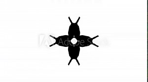 Compass rotation animation. Compass animation element for gif banner. Compass animation element for video frame Ornament rotation animation.