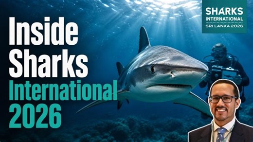 The Big Question at Sharks International 2026: Are We Saving Sharks the Right Way? | David Ebert
