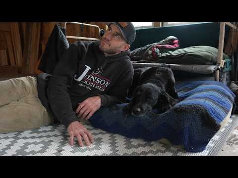 Building an off grid cabin in northern Maine with a dog.