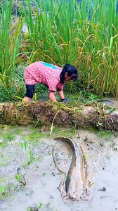 2.3M views · 6.4K reactions | Amazing Fishing 麗 | Fishing Camp | Facebook