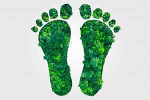 Carbon Footprint Calculator