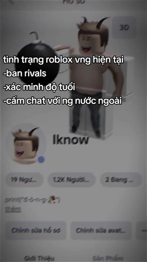 Current Issues in Roblox VNG