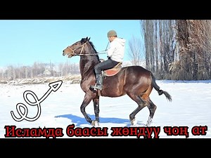 Исламда жөндүү баада ЧОҢ ТОРУ✋️ 22 декабря 2023 г.