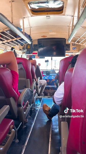 Belleza Interior de Bluebird All American