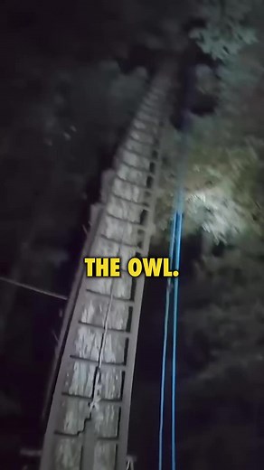 Inside Bohemian Grove: Creepy Discoveries and Rituals