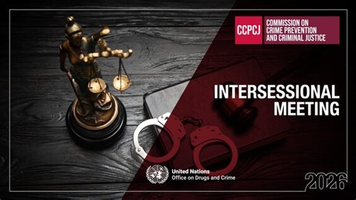 CCPCJ Intersessional Meeting