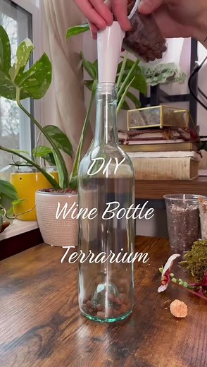 DIY Wine Bottle Terrarium