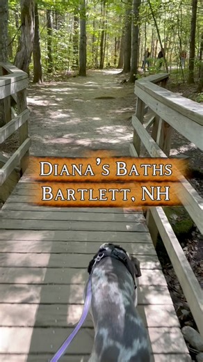 139K views · 1.6K reactions | Tucked away in Bartlett, New Hampshire,...