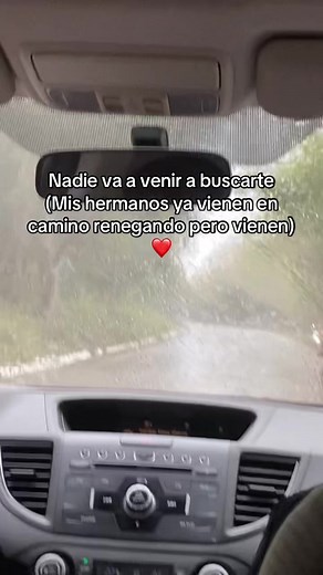 Nadie va a venir a buscarte — frase y significado (Mis hermanos vienen en camino)