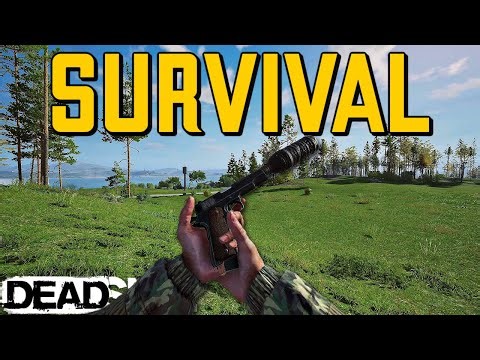 Can A SOLO Really Survive In Deadside?