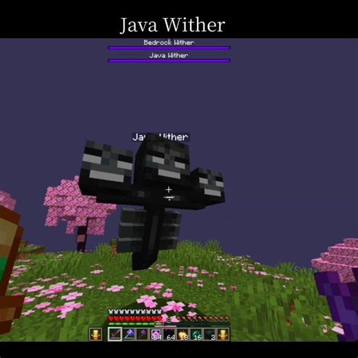 Java Wither vs Bedrock Wither 😈 Beat Drop = Instant Fear 💀 #shorts