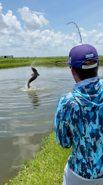 200lb Florida Pond Monster