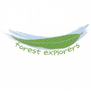 Mural Tours | Forest ExplorersWildflowers