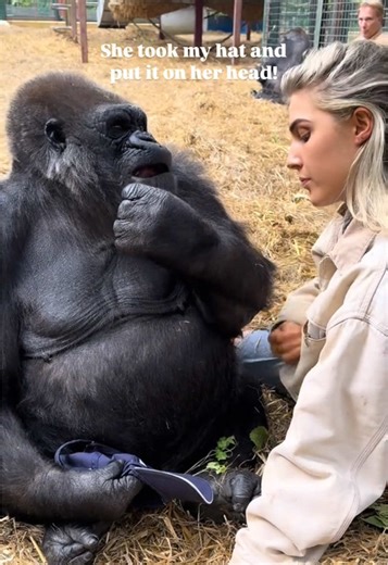 Cute Love Story Moments You Can't Miss