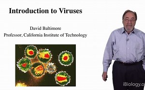 iBiology专辑【Human Disease】David Baltimore (Caltech) Introduction to Viruses