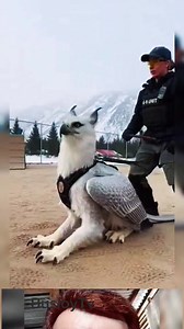 The train 😱 #Misteryo | Sherwin Arche Regulacion