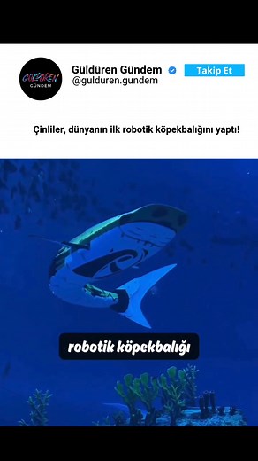 Çinli Xinguang Group, dünyanın ilk akıllı robotik köpekbalığını geliştirdi. 350 kilogram ağırlığındaki bu robot, deniz teknolojisinde çığır açan bir yenilik olarak kabul ediliyor. Şanghay'daki bir okyanus parkında test edilen bu dev robot balina köpekbalığı, gerçekçi tasarımı ve hareket kabiliyetiyle dikkat çekiyor. Bu robotik köpekbalığı, genellikle deniz araştırmaları, keşifler ve eğitim amaçları için tasarlanmış. Gerçek bir köpekbalığının hareketlerini oldukça gerçekçi bir şekilde taklit edeb