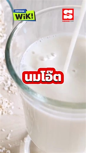 3.4K views · 15 reactions | Sanook WiK! EP 47 : นมโอ๊ตคืออะไร ทำไมถึงฮิตมากขึ้น มาหาคำตอบพร้อมกันเลย ☕️ 拏 #นมโอ๊ต #oat #oatmilk #sanook | Sanook News | Facebook