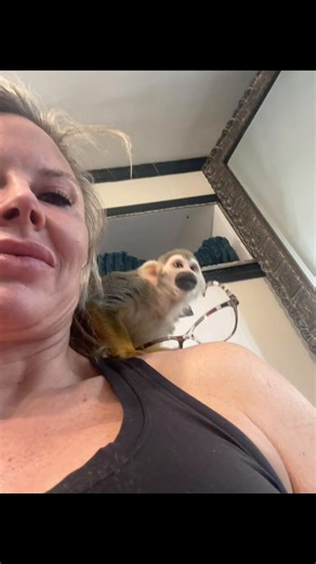 Hurley loves looking through glasses!! #funny #glasses #fyp