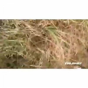 14K views · 236 reactions | wtf | Top FAIL | Facebook