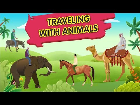 13 Animals Used for Transportation | Traveling with Animals