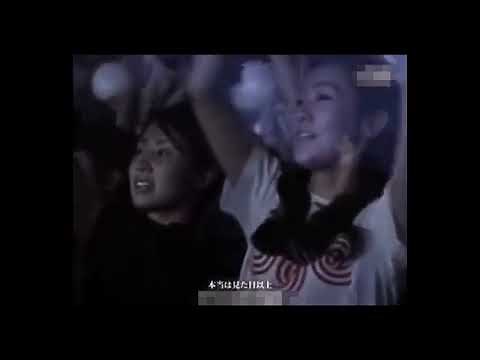 tsunami Southern All Stars