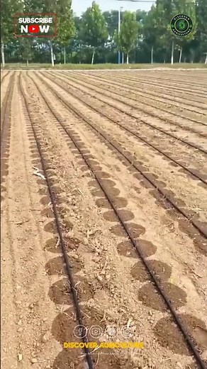 Drip Irrigation System