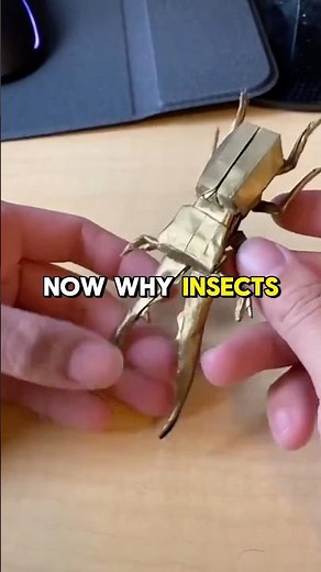 Origami Insects #origami #origamipaper #bugs