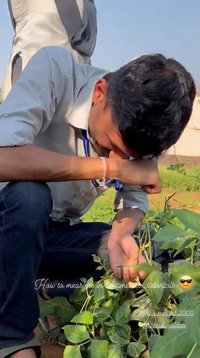 BSc Agriculture Course | BSc Agriculture College | BSc Agriculture Student Life