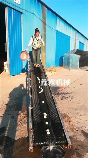 Platform Conveyor Belt for Unloading Materials. #shorts