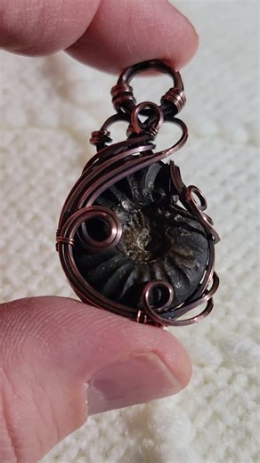 Black Ammonite Pendant by @ wornwizard.com