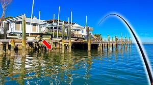 12K views · 106 reactions | THIS is Why You Fish Old SALTWATER Docks!! | Southern Salt Fishing | Facebook