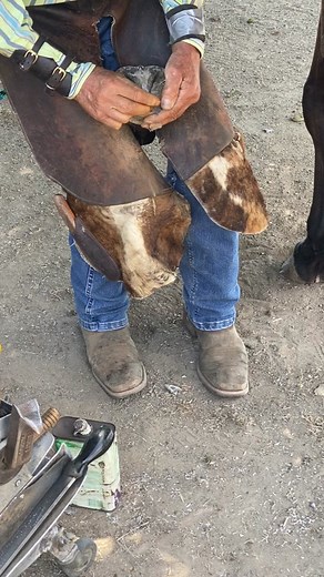 Iodine crystals and turpentine. My farrier showed me this today and it was super awesome. Have you ever seen this before? #farriersoftiktok #farriertiktok #horses #equinelife