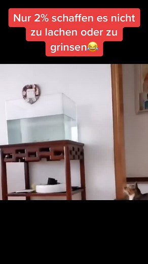 Lach-Challenge: Schafft ihr es, nicht zu lachen?