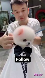 4.5K views · 87 reactions | 殺殺 | Kurzhaarfrisuren | Facebook