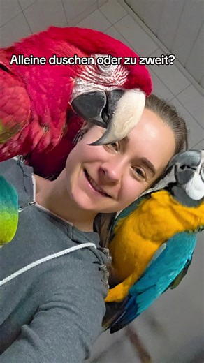 Gemeinsam oder alleine duschen: Papageien im Test