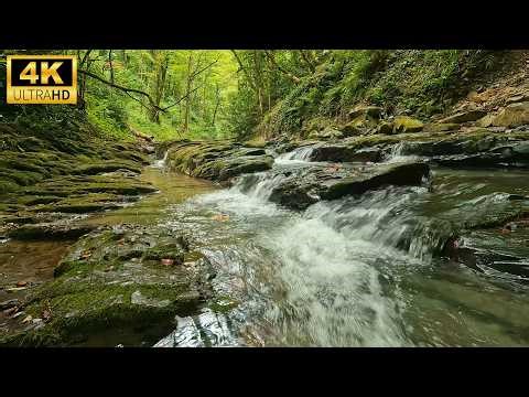 Nature’s Escape: 4K River Sounds & Birdsong ASMR (No Music, 3 Hours Pure Environment)