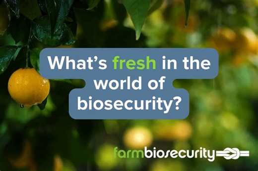The Farm Biosecurity newsletter is out now! 🚜🌾 Read about the latest updates, including: ✅ practical steps, tools and planning tips for severe weather 📚 the latest courses on the biosecurity training hub 🚜 protect your property with drought season biosecurity tips 🛡️ why Australia is a global leader in EAD preparedness. Stay informed and read now 👉 https://loom.ly/ZdnDucI Animal Health Australia | Plant Health Australia