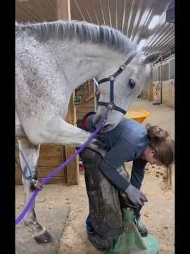 Because details define the man 👌#horse #ytshorts #nails #nature