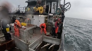 Halibut season going well . . . . . . . #commercialfishing #fishing #bristolbay #salmon #eatwild #salmonlife #commercialfisherman #nopebblemine #fishinglife #savebristolbay #deadliestcatch #alaska #seafood #knowyourfisherman #sustainablefishing #alaskafishing #wildcaught #fishingvessel #sockeye #sustainableseafood #bristolbaysockeye #gillnetting #wildfishing #kodiakmarine #seamarnaknek #salmonlove #fish #conservation #seamarbellingham #salmon | Luke Clay