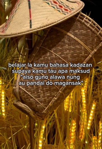 Belajar Bahasa Kadazan Dusun & Budaya Kaamatan