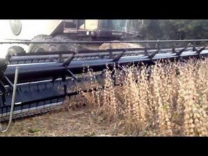 Gleaner Dynaflex Draper Head Part 2