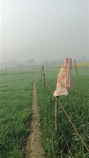 jahiya Radha re Piya Java tu