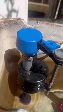 How to replace a toilet flapper