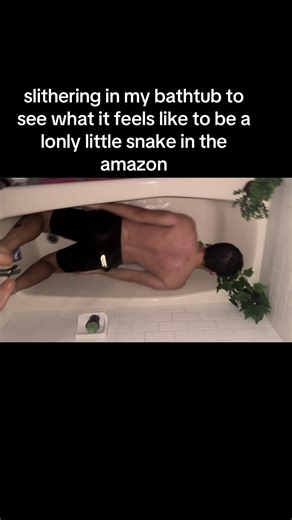 In the Amazon rainforest, a single snake lives a largely solitary life, as most snake species do not form social groups. It spends much of its time concealed under leaf litter, in burrows, or coiled on branches, using camouflage to avoid predators and ambush prey. The snake relies on vibrations, scent, and heat detection rather than sight to locate food such as small mammals, birds, or amphibians. Interaction with other snakes is minimal and usually limited to mating or competition for territory