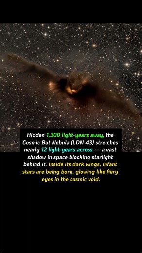 The Cosmic Bat Nebula — A Shadow Spreading Its Wings in Space