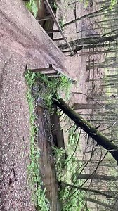 Michael Carey on Reels