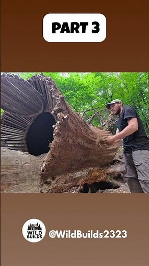 INSANE FOREST BUILD RAW NATURAL CONSTRUCTION WILDBUILDS